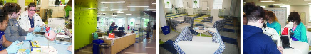 Students working in the Student Success Center.