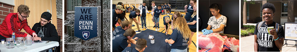 Students in different scenes around campus.