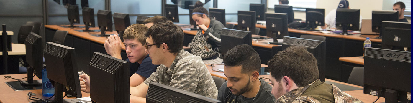 Students working in the computer lab.