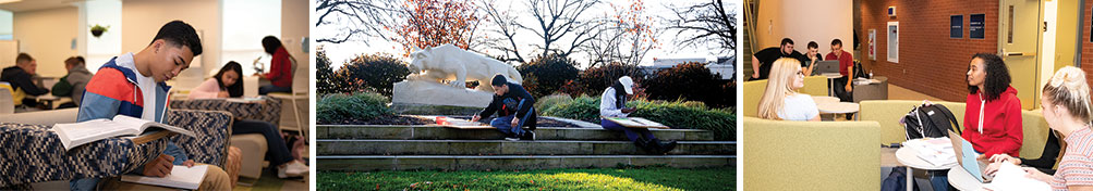 Students studying in three different locations on campus.