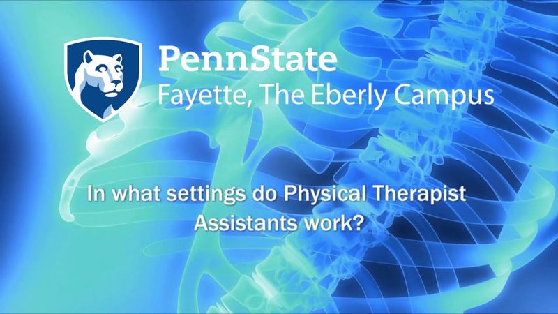 Physical Therapist Assistants work