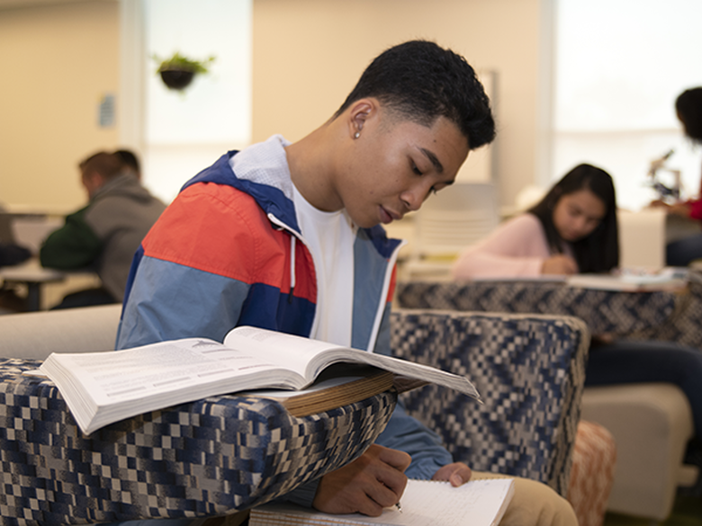 Student studying in the Student Success Center.