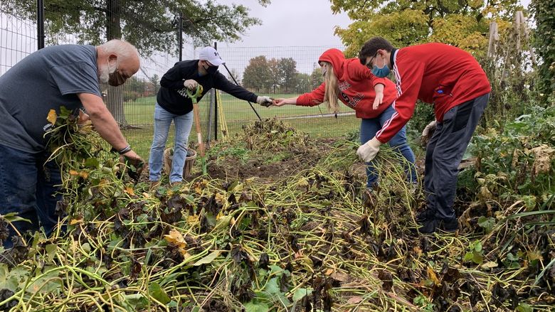 David Meredith (left) and a group of student leaders harvest squash and sweet potatoes.