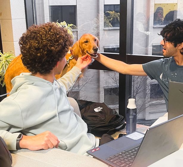 two students, sitting with laptops, are petting a golden retriever