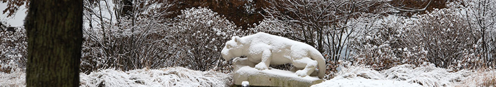 Lion shrine covered in snow.